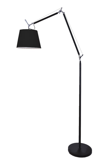 PIE TOLOMEO